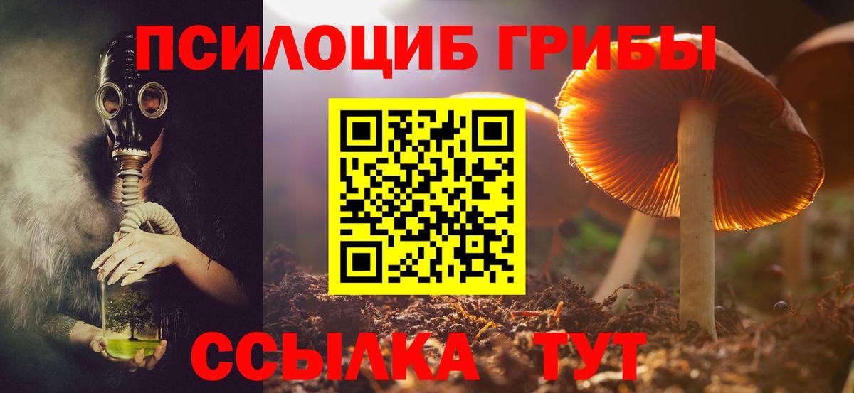 Ессентуки  Галлюциногенные грибы мухоморы  Псилоцибиновые грибы Magic Shrooms  Вход с VPN 